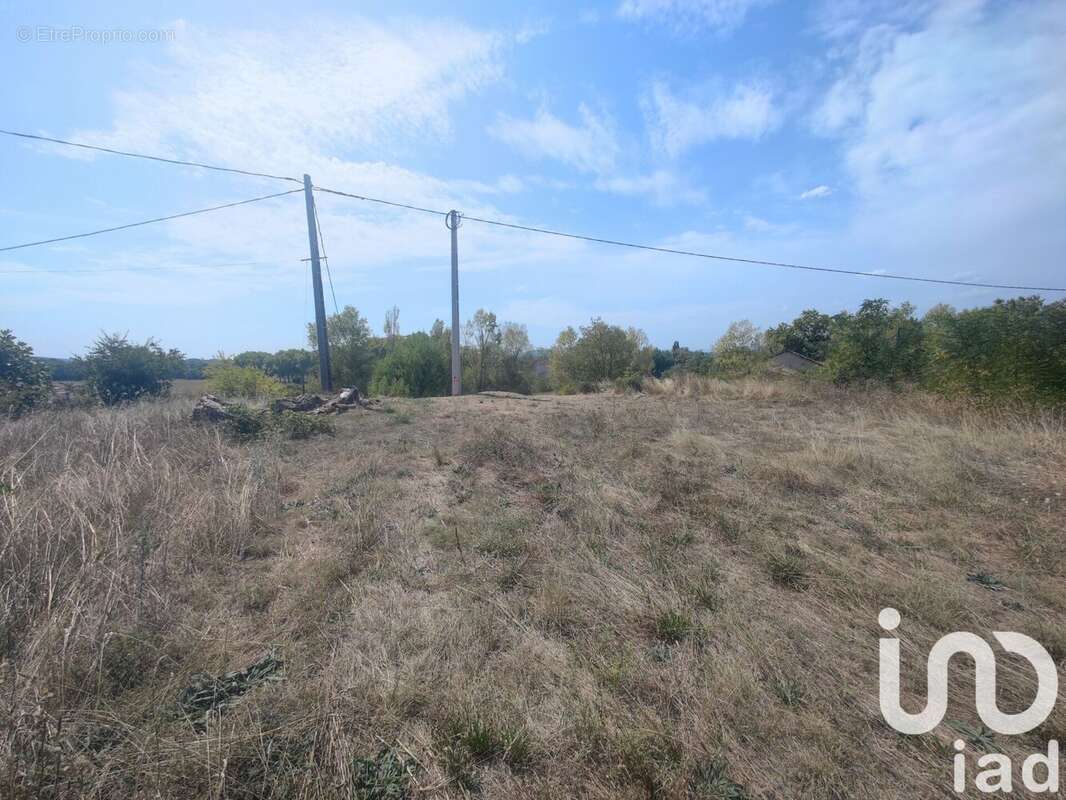 Photo 3 - Terrain à SAINT-JEAN-DE-MARUEJOLS-ET-AVEJAN