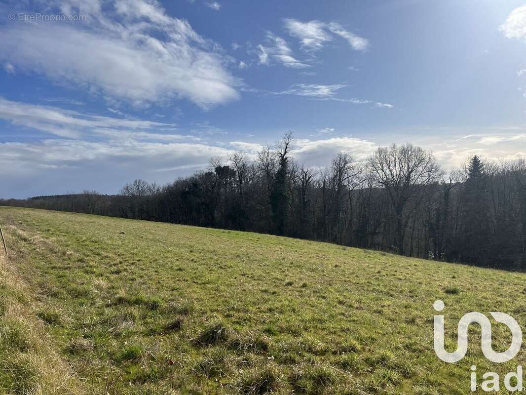 Photo 2 - Terrain à SAINT-ANDRE-D&#039;ALLAS