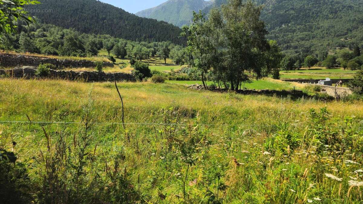 Photo 4 - Terrain à PORTA