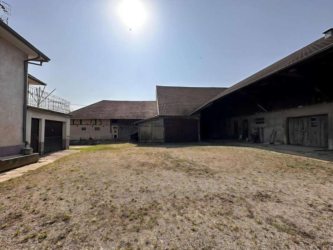 Photo 5 - Maison à STEINBRUNN-LE-HAUT