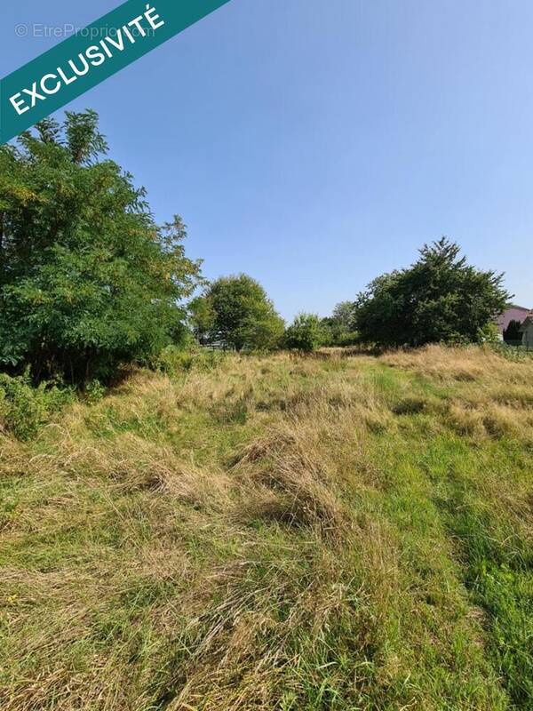 Photo 1 - Terrain à THAON-LES-VOSGES