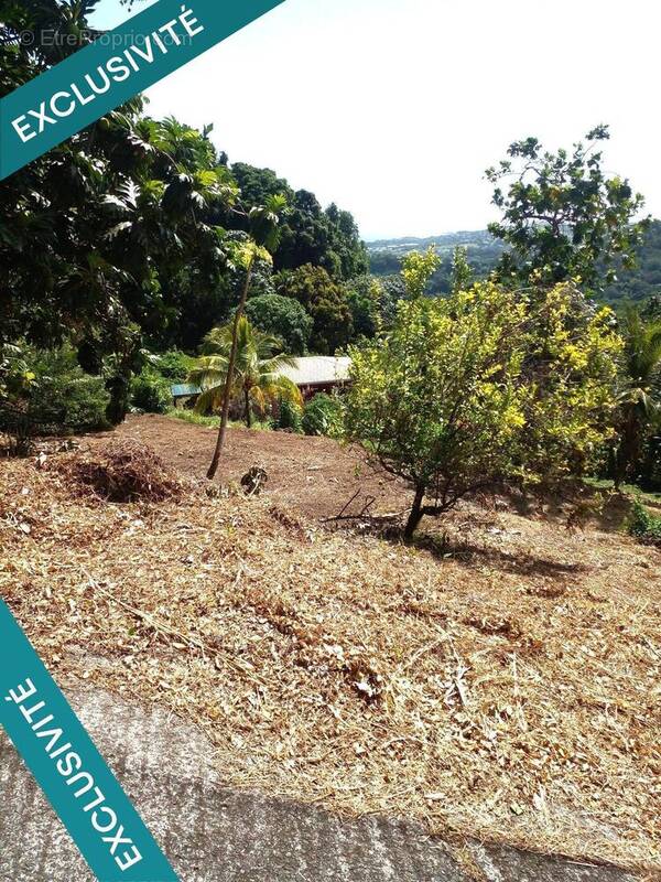 Photo 1 - Terrain à LE ROBERT