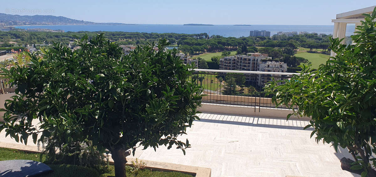 Appartement à MANDELIEU-LA-NAPOULE