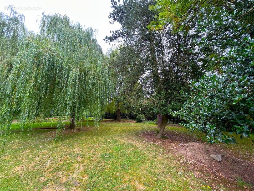 Appartement à LAMBERSART