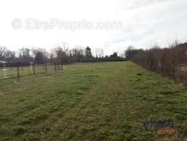 Terrain à LA GUERCHE-SUR-L&#039;AUBOIS