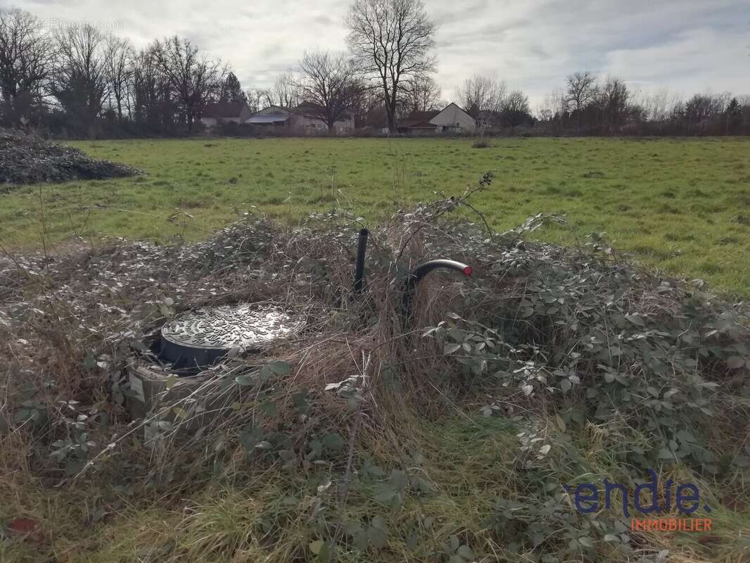 Terrain à LA GUERCHE-SUR-L&#039;AUBOIS