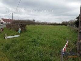 Terrain à MORNAY-SUR-ALLIER