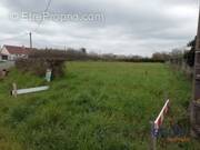 Terrain à MORNAY-SUR-ALLIER
