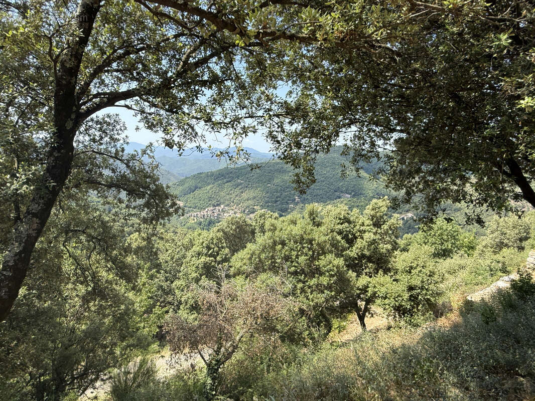 Maison à SAINT-MARTIAL