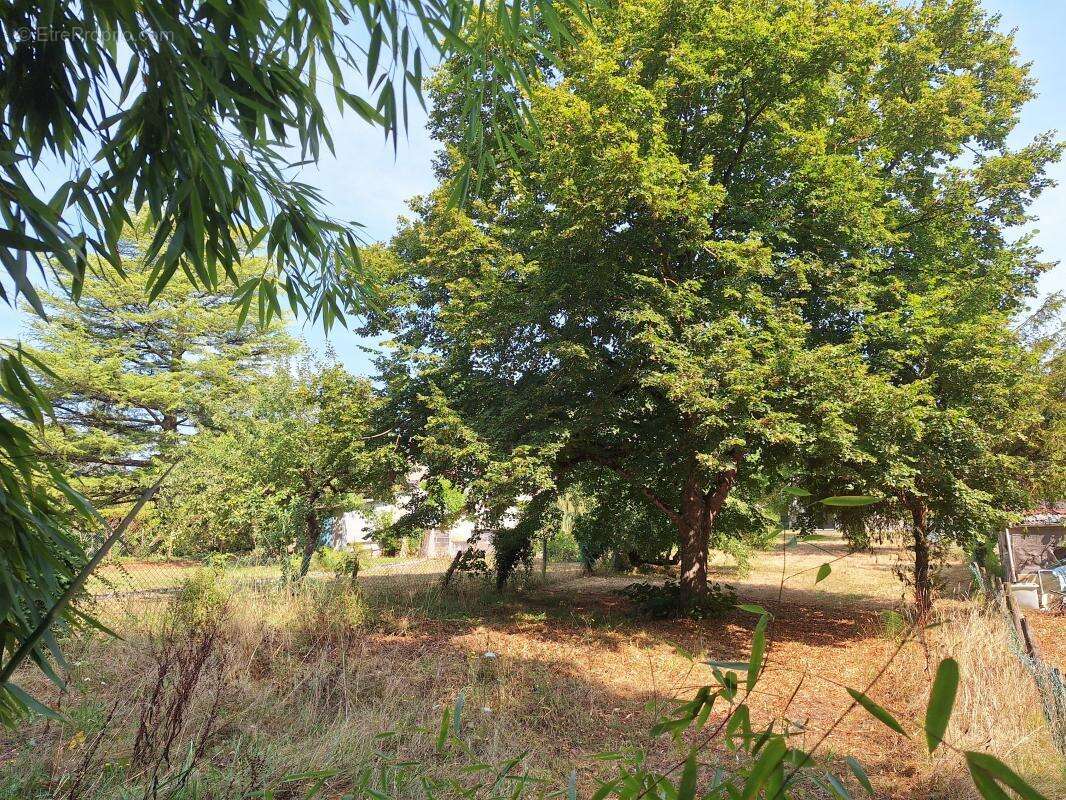 Maison à SAINT-SATUR