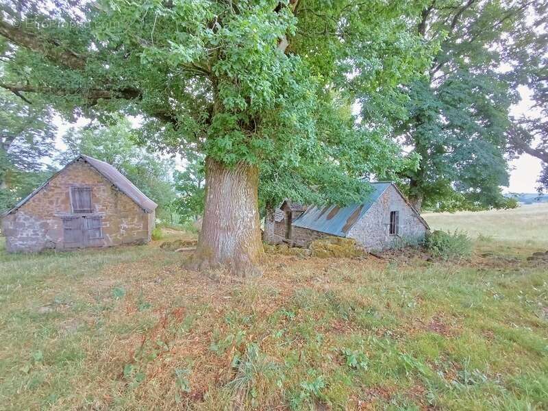 Maison à SAINT-MARTIN-VALMEROUX