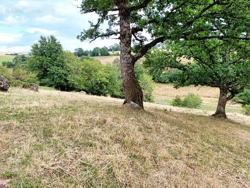 Maison à SAINT-MARTIN-VALMEROUX