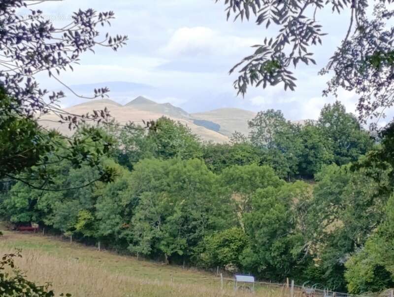 Maison à SAINT-MARTIN-VALMEROUX