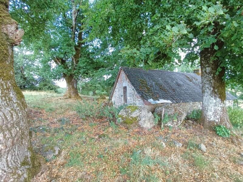 Maison à SAINT-MARTIN-VALMEROUX