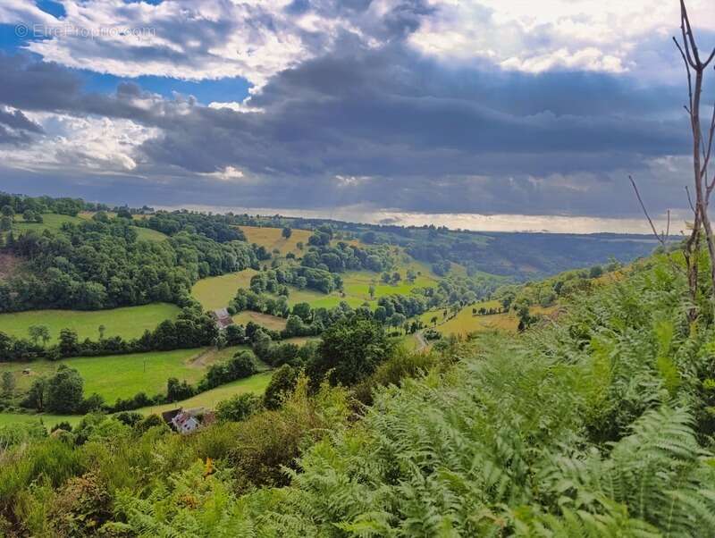 Maison à SAINT-MARTIN-VALMEROUX