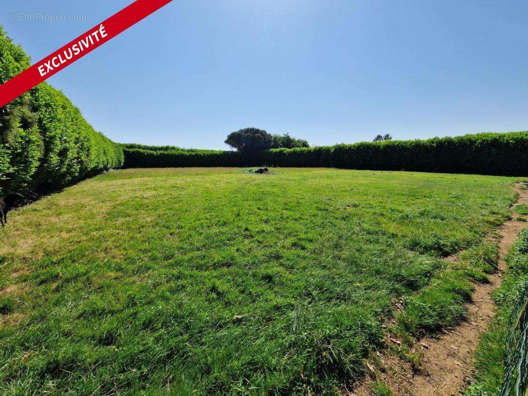 Terrain à LE CHAMP-SAINT-PERE