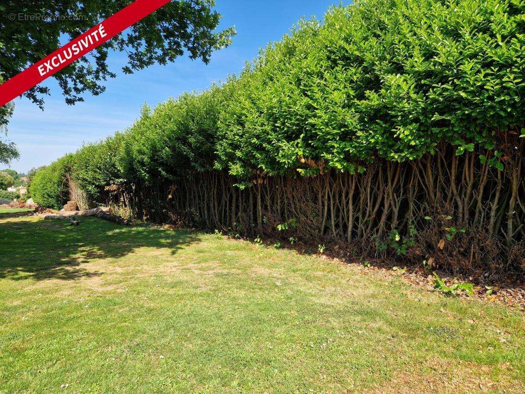 Terrain à LE CHAMP-SAINT-PERE