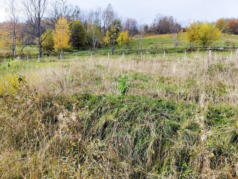 Terrain à LES DESERTS