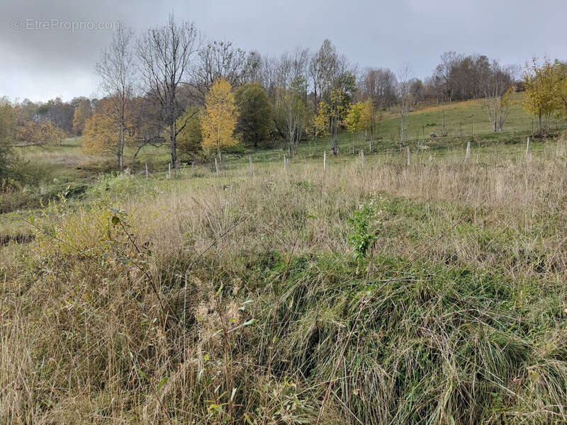 Terrain à LES DESERTS