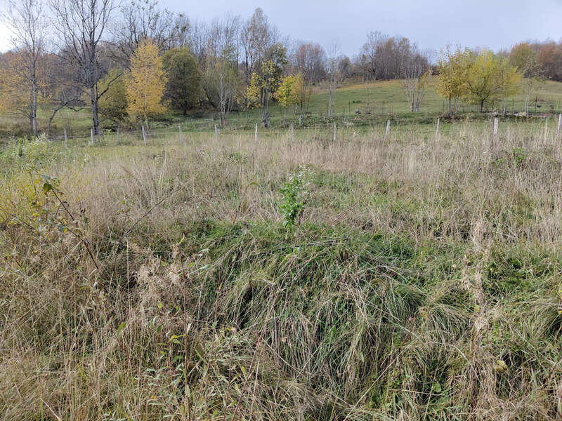 Terrain à LES DESERTS