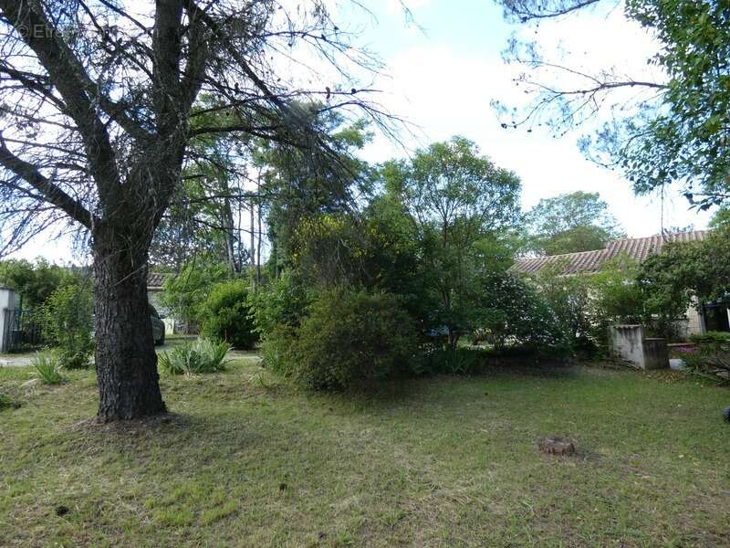 Maison à MOULES-ET-BAUCELS