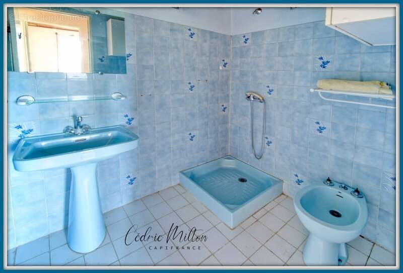 Maison à RIVIERE-SALEE