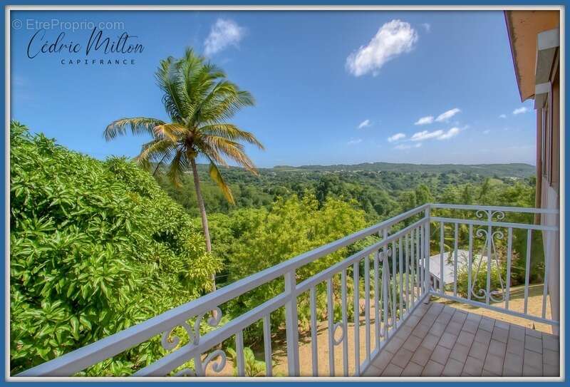 Maison à RIVIERE-SALEE