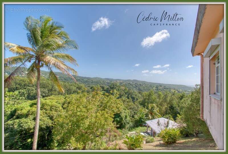 Maison à RIVIERE-SALEE