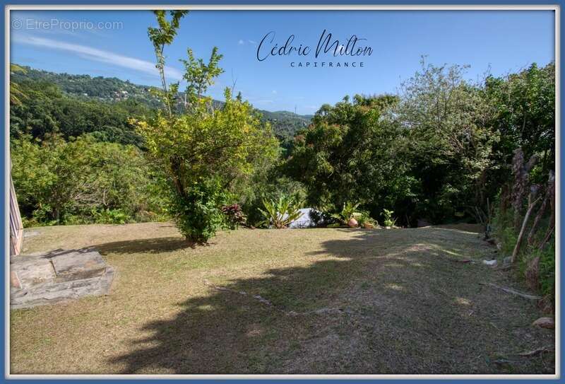 Maison à RIVIERE-SALEE