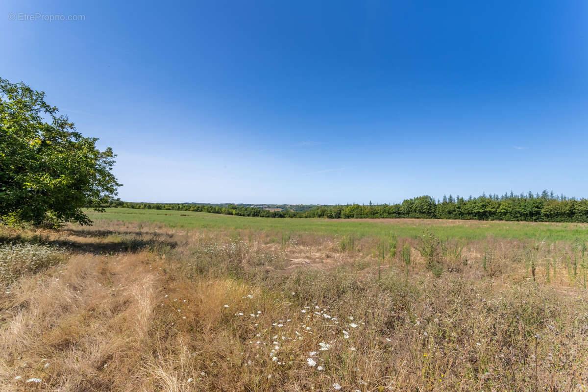 Maison à BOURG-DE-VISA