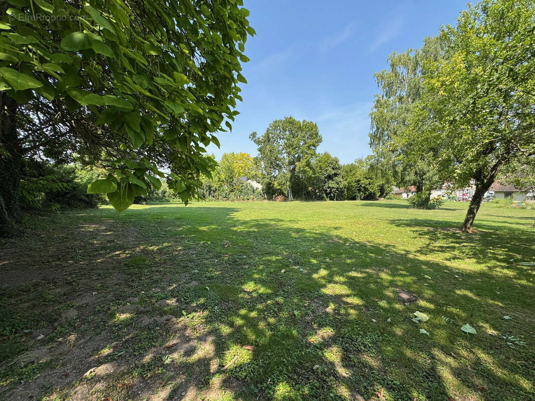 Terrain à SAINT-POUANGE