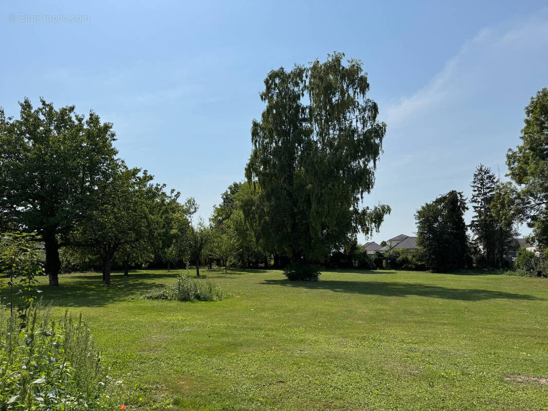 Terrain à SAINT-POUANGE
