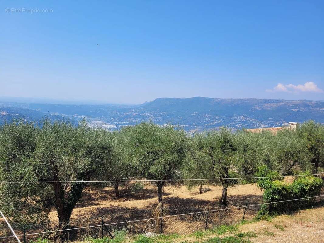 Terrain à ASPREMONT