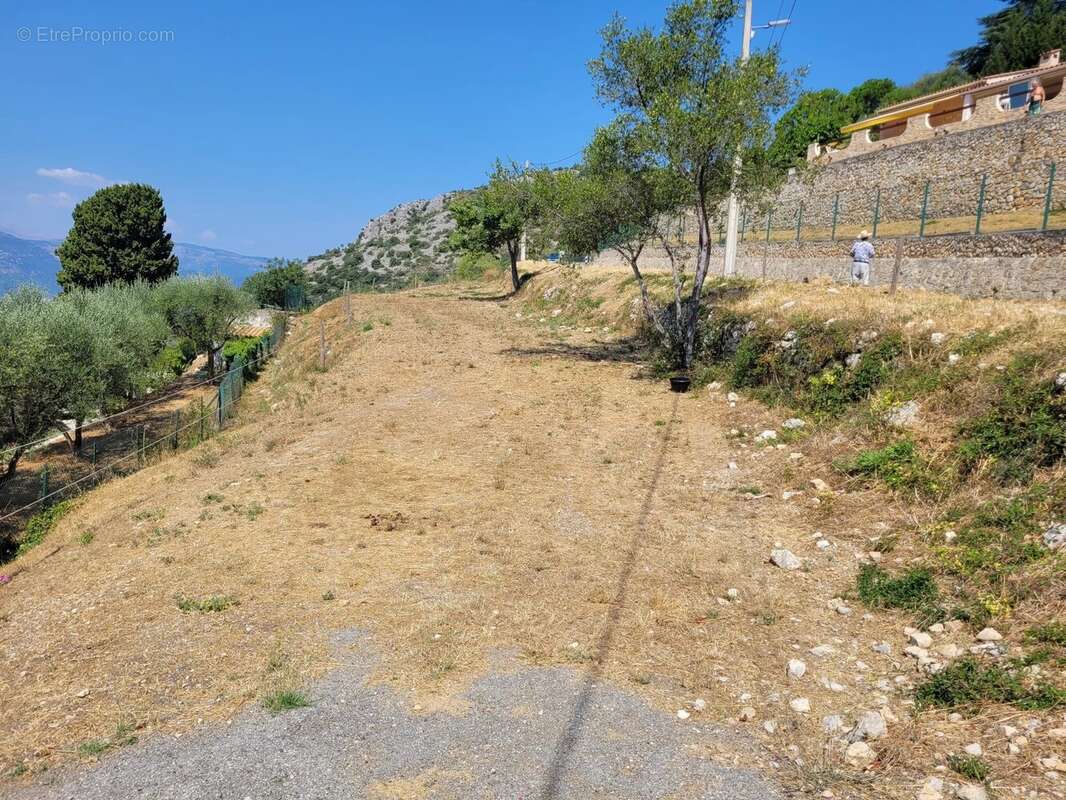 Terrain à ASPREMONT