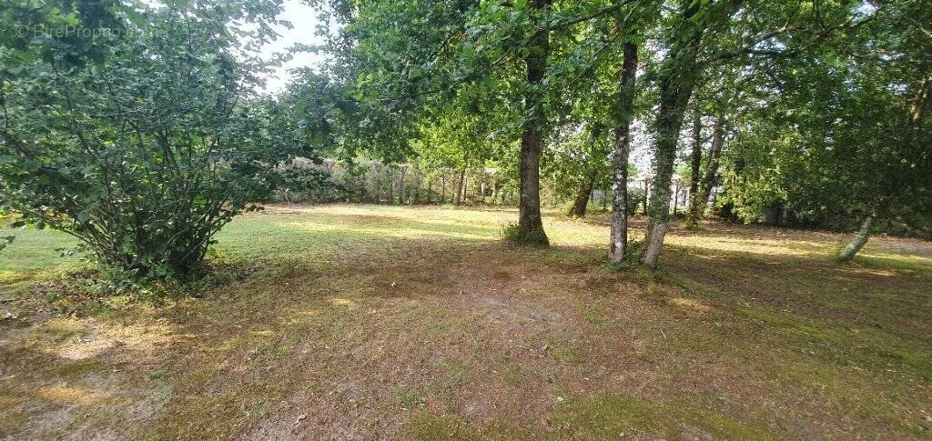 Terrain à PARENTIS-EN-BORN