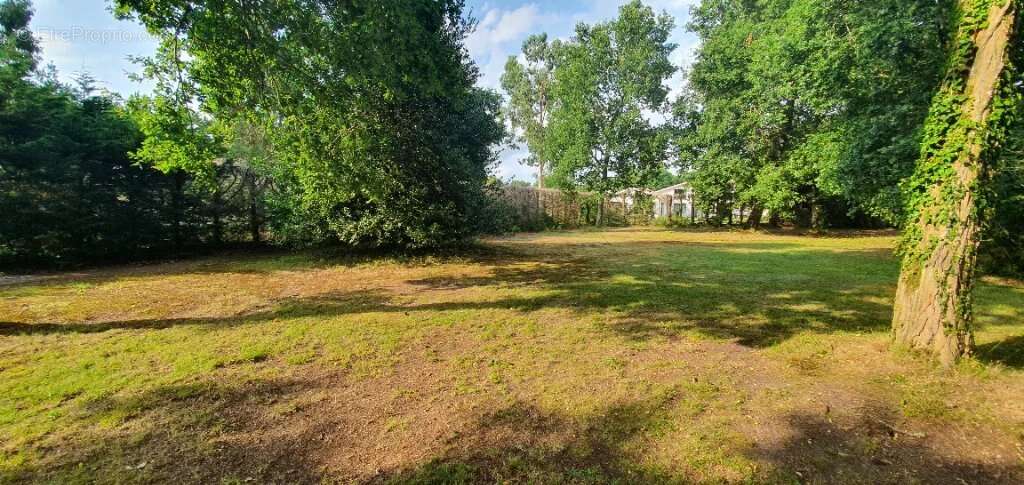 Terrain à PARENTIS-EN-BORN