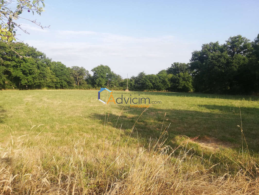 Maison à SAINT-BENOIT-DU-SAULT