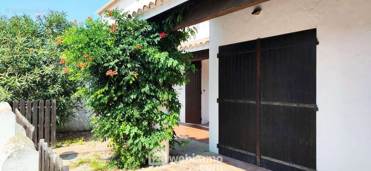 Cour/terrasse côté Sud - Maison à SAINTES-MARIES-DE-LA-MER