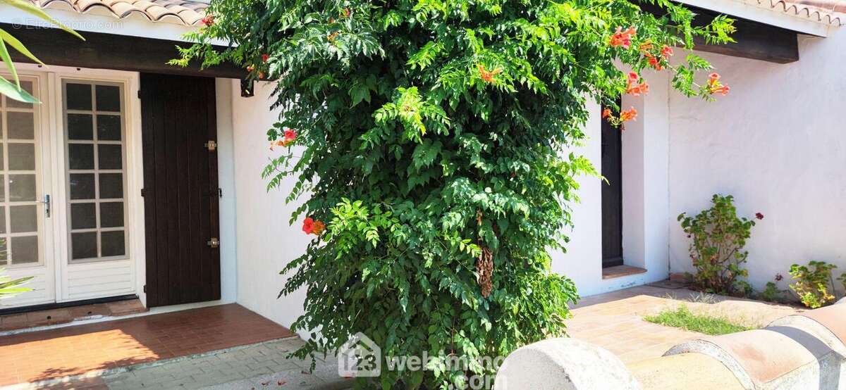 Cour/terrasse côté Sud - Maison à SAINTES-MARIES-DE-LA-MER