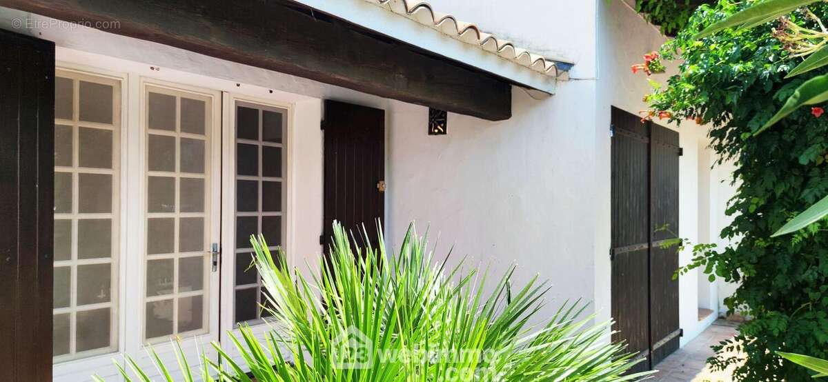 Cour/terrasse côté Sud - Maison à SAINTES-MARIES-DE-LA-MER