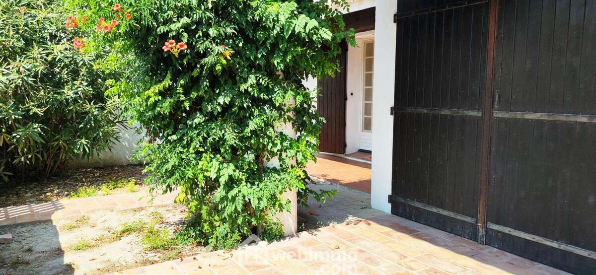 Cour/terrasse côté Sud - Maison à SAINTES-MARIES-DE-LA-MER