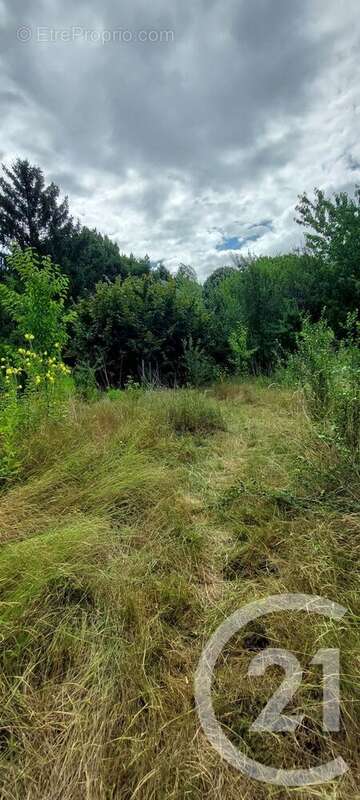 Maison à SAINT-GERMAIN-DU-BOIS