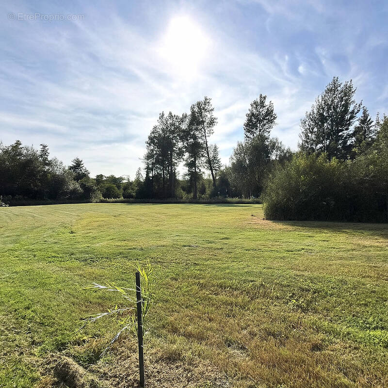 Terrain à BEAUMERIE-SAINT-MARTIN