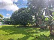 Terrain à SAINT-ANDRE