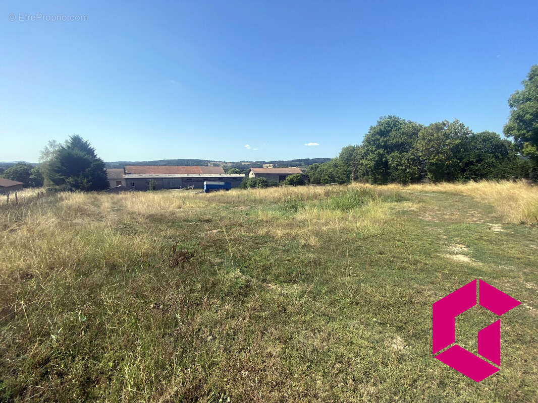 Terrain à CHOMELIX