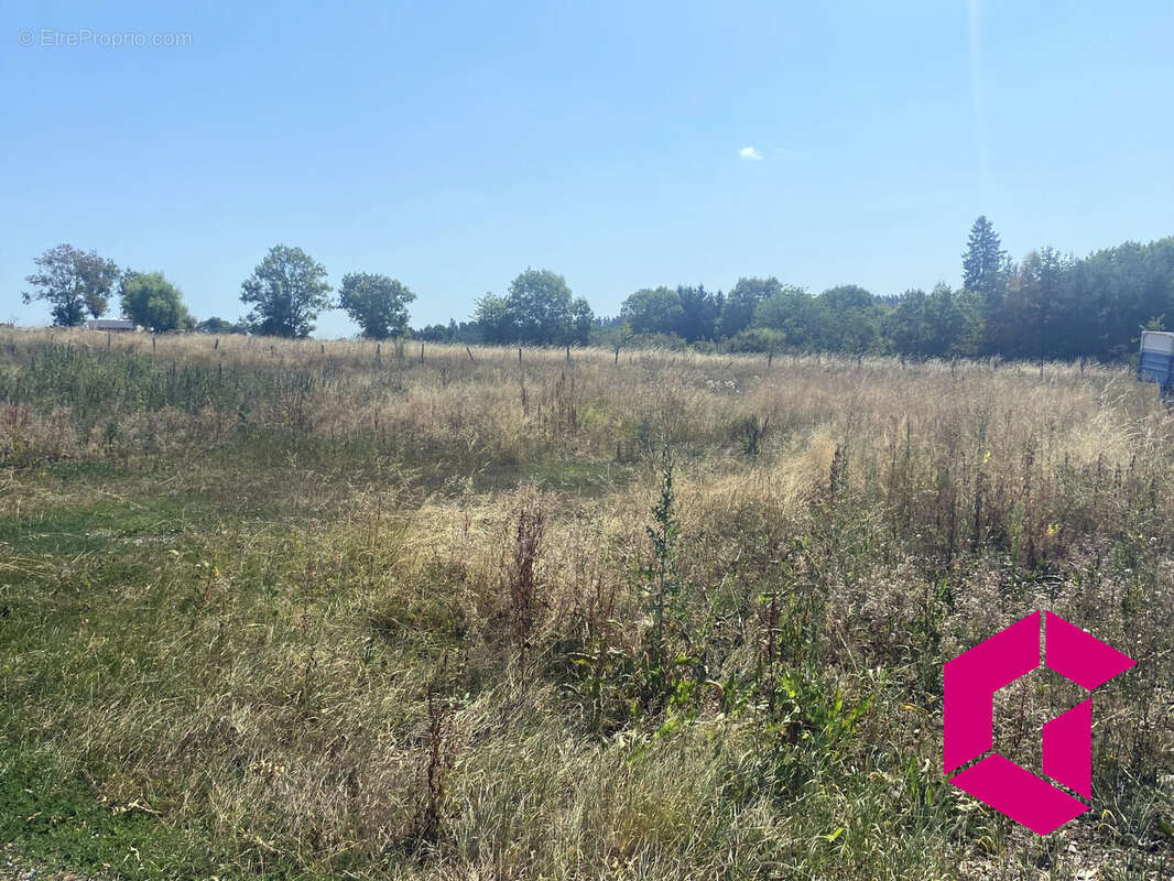 Terrain à CHOMELIX