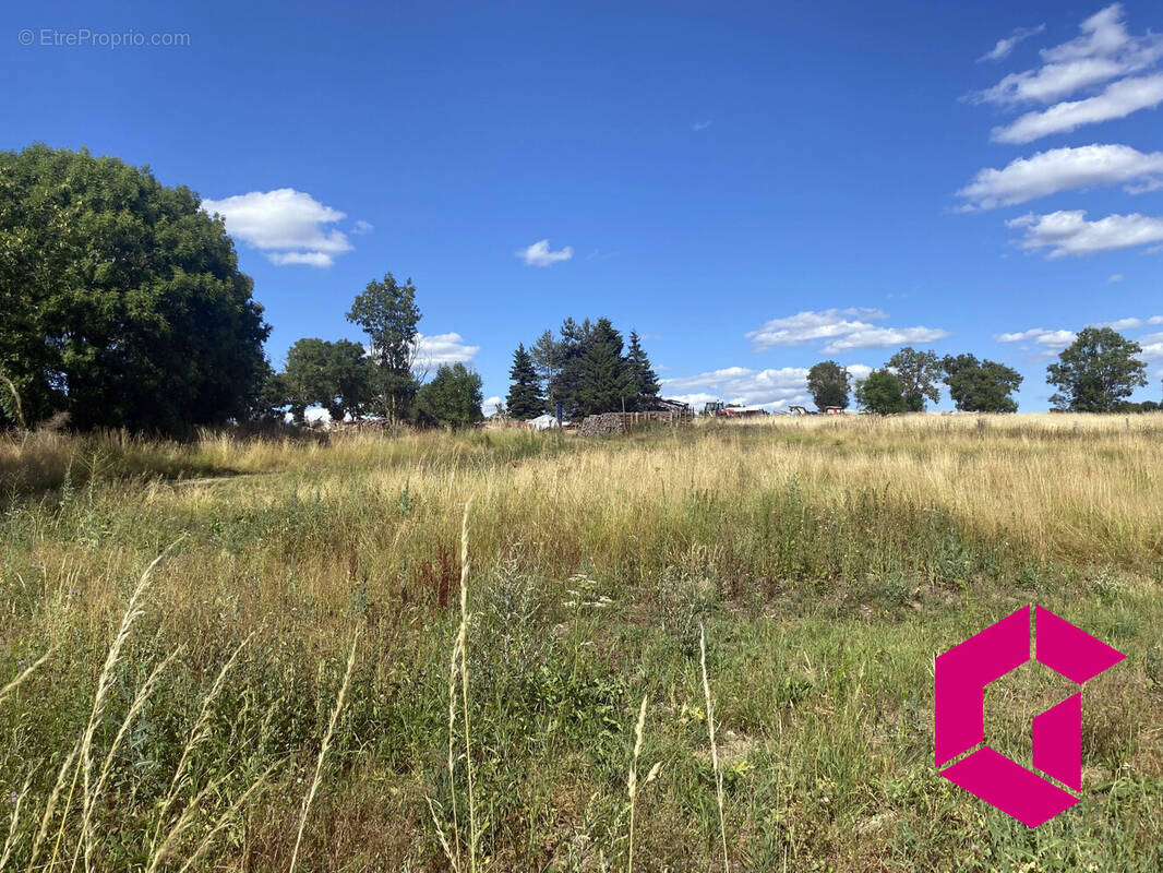 Terrain à CHOMELIX