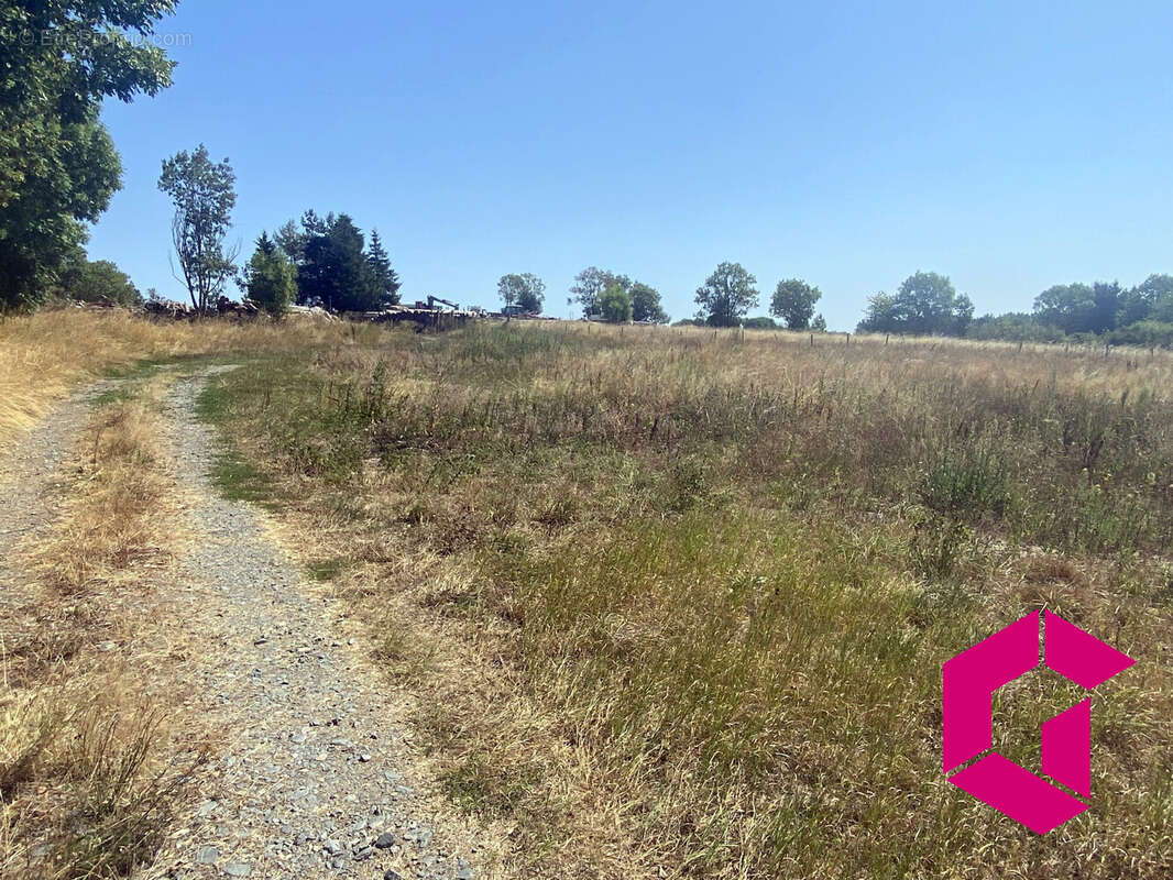 Terrain à CHOMELIX