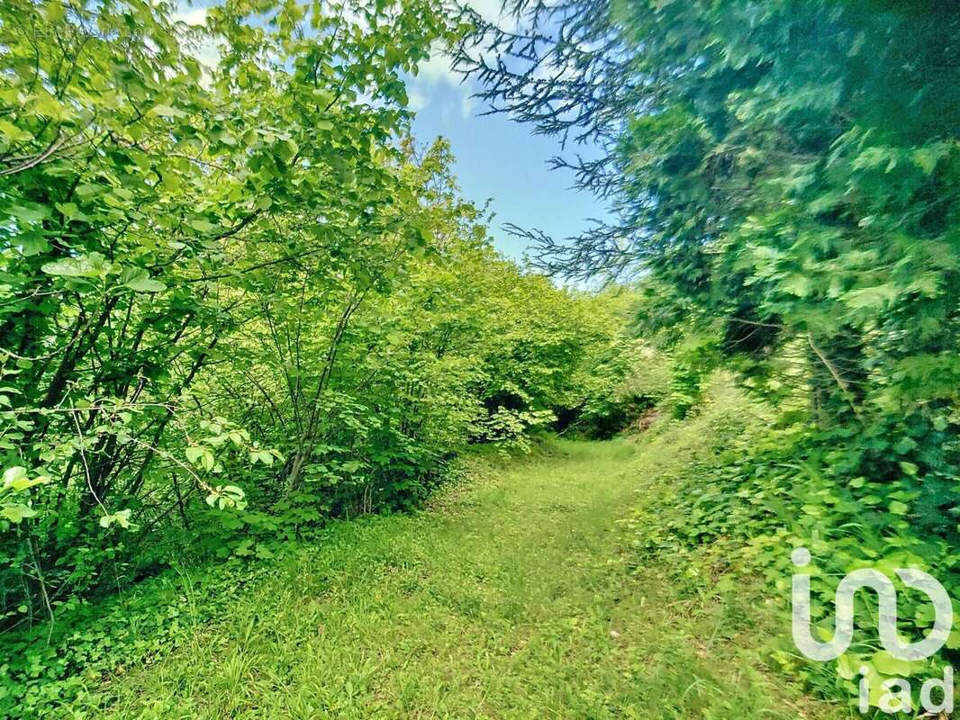 Photo 6 - Terrain à TOURNON-SUR-RHONE