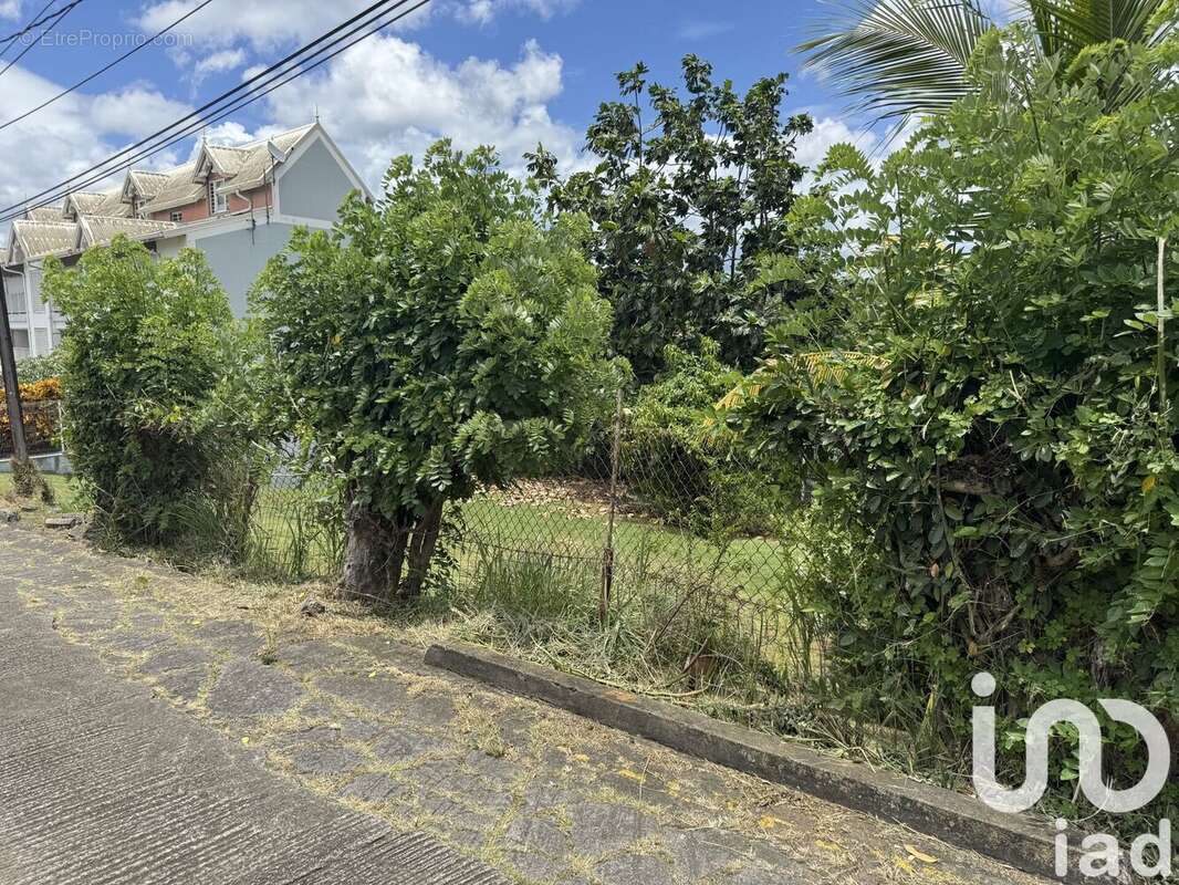 Photo 5 - Terrain à SCHOELCHER